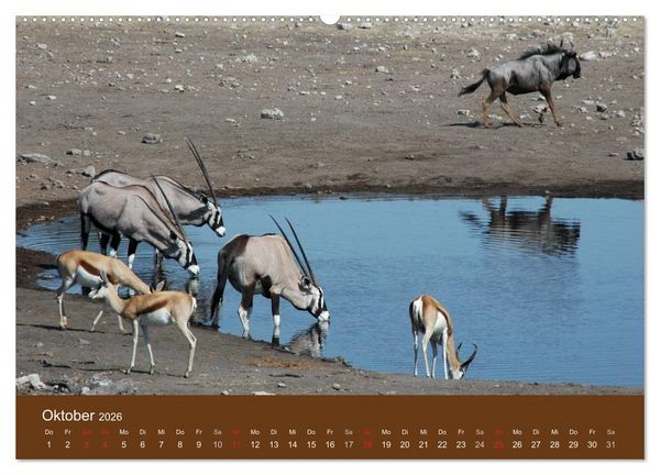 Produktbild: Namibia - faszinierende Menschen und Tiere (hochwertiger Premium Wandkalender 2026 DIN A2 quer), Kunstdruck in Hochglanz