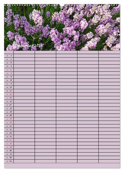 Produktbild: Naturzauber Lavendel - Familienplaner (hochwertiger Premium Wandkalender 2026 DIN A2 hoch), Kunstdruck in Hochglanz