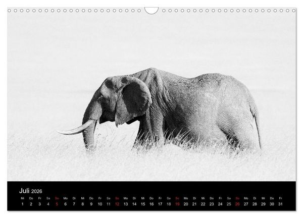 Produktbild: Elefanten Schwarz - Weiss (Wandkalender 2026 DIN A3 quer), CALVENDO Monatskalender