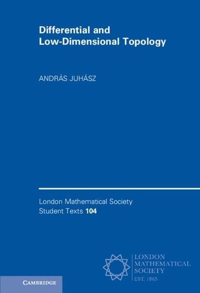 Produktbild: Differential and Low-Dimensional Topology