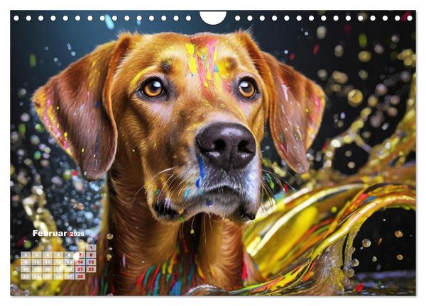 Produktbild: Splash - Hunde im Farbrausch (Wandkalender 2026 DIN A4 quer), CALVENDO Monatskalender