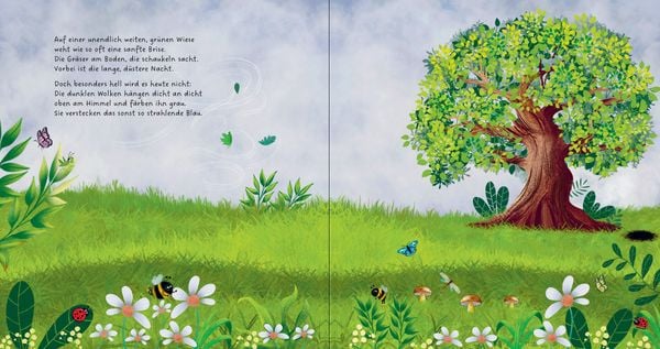 Produktbild: Ein Baum f&uuml;r alle