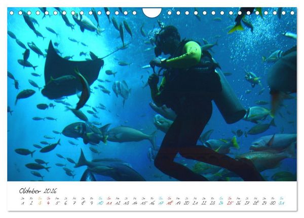 Produktbild: Dubai, die Stadt der Superlative. (Wandkalender 2026 DIN A4 quer), CALVENDO Monatskalender