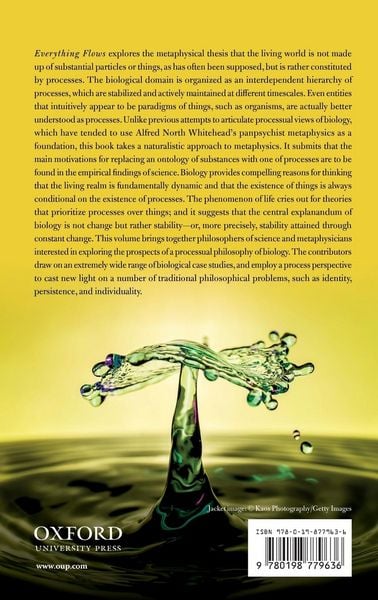 Produktbild: Everything Flows