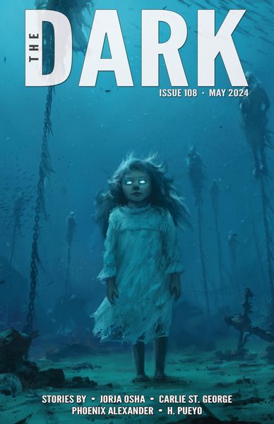 Produktbild: The Dark Issue 108