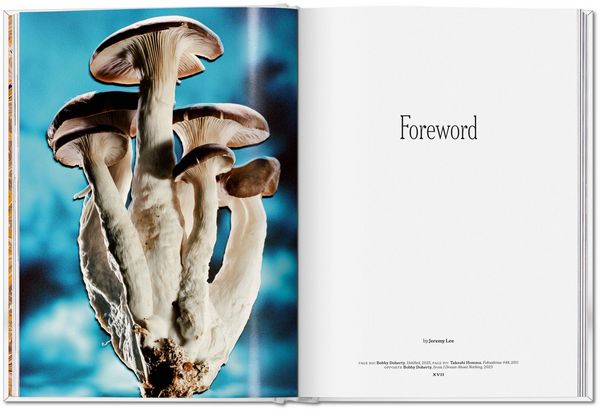 Produktbild: The Gourmand's Mushroom
