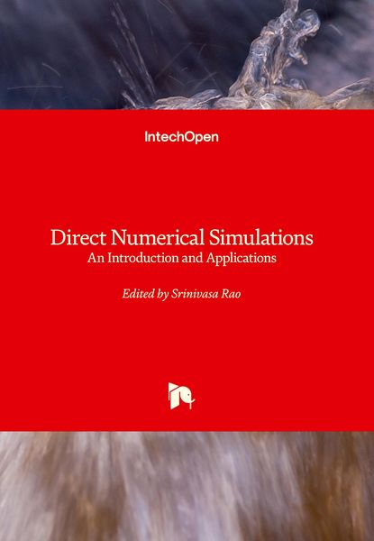 Produktbild: Direct Numerical Simulations