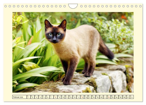 Produktbild: Edle Siamkatzen. Anmut und Charakter im Spiel mit der Natur (Wandkalender 2026 DIN A4 quer), CALVENDO Monatskalender