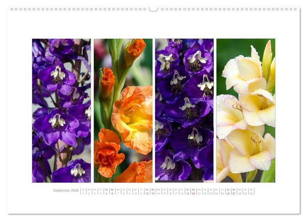Produktbild: Gartenfreude (Wandkalender 2026 DIN A2 quer), CALVENDO Monatskalender