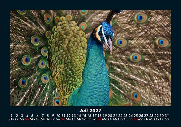 Produktbild: Welt der V&ouml;gel 2027 Fotokalender DIN A5