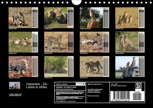 Produktbild: Herzog, M: Geparden - Ein Leben in Afrika (Wandkalender 2019