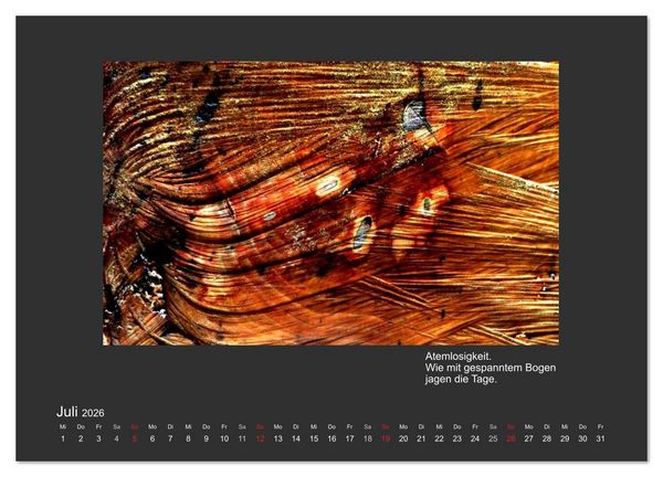 Produktbild: MAGIE HOLZ 2026 (Wandkalender 2026 DIN A4 quer), CALVENDO Monatskalender
