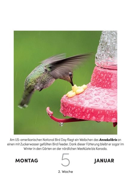 Produktbild: Vogelkalender 2027 - Tagesabrei&szlig;kalender zum Aufstellen oder Aufh&auml;ngen