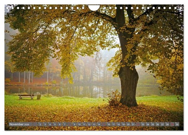 Produktbild: Zauberhafte Schwalm (Wandkalender 2026 DIN A4 quer), CALVENDO Monatskalender