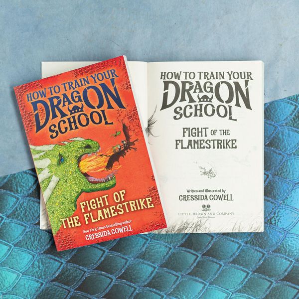 Produktbild: How to Train Your Dragon School: Fight of the Flamestrike