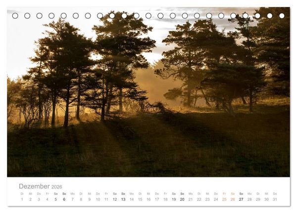 Produktbild: Traumziel D&auml;nemark (Tischkalender 2026 DIN A5 quer), CALVENDO Monatskalender