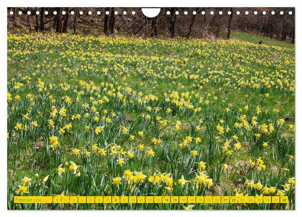 Produktbild: Eifel Sehnsucht (Wandkalender 2026 DIN A4 quer), CALVENDO Monatskalender