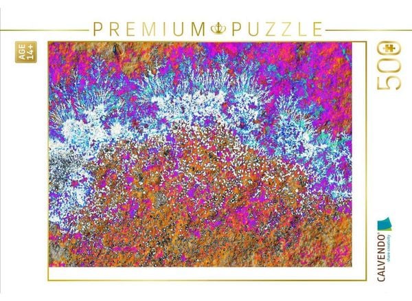 CALVENDO Puzzle Ein Motiv aus dem Kalender Versteinerte Miniaturwelten - Farbenspiele auf Solnhofener Plattenkalk | 500 Teile Lege-Größe 48 × 36 cm Foto-Puzzle für Erwachsene