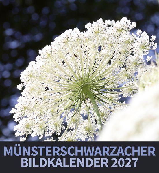 Produktbild: M&uuml;nsterschwarzacher Bildkalender 2027