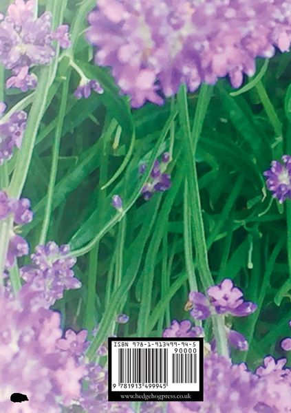 Produktbild: Symbiosis