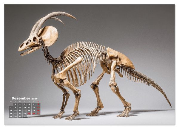 Produktbild: Knochen der Giganten - Dinosaurier im Portr&auml;t (Tischkalender 2026 DIN A5 quer), CALVENDO Monatskalender