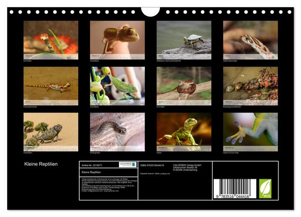 Produktbild: Kleine Reptilien (Wandkalender 2026 DIN A4 quer), CALVENDO Monatskalender