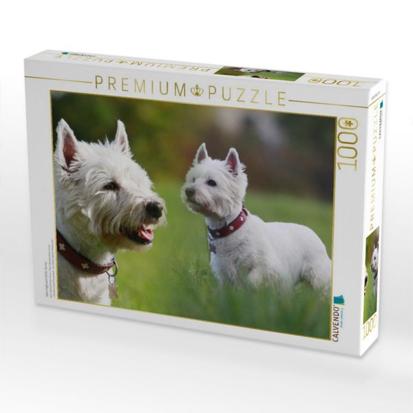 Produktbild: CALVENDO Puzzle West Highland White Terrier | 1000 Teile Lege-Gr&ouml;&szlig;e 64x48cm Foto-Puzzle f&uuml;r gl&uuml;ckliche Stunden