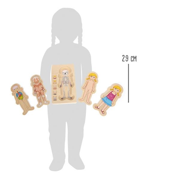 Produktbild: Schichtenpuzzle Anatomie M&auml;dchen