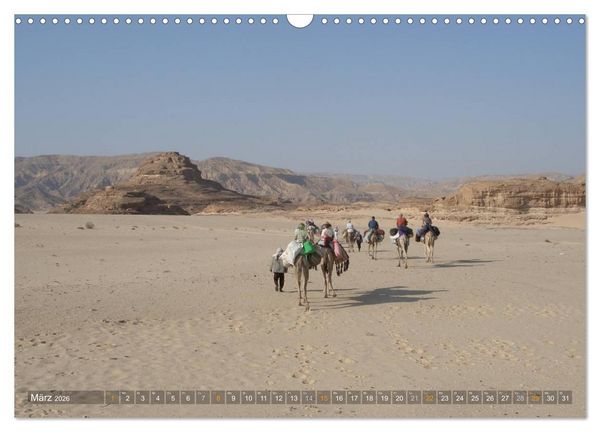 Produktbild: Impressionen Kameltrekking Sinai 2026 (Wandkalender 2026 DIN A3 quer), CALVENDO Monatskalender