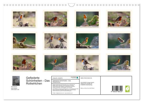 Produktbild: Gefiederte Sch&ouml;nheiten - Das Rotkehlchen (Wandkalender 2026 DIN A3 quer), CALVENDO Monatskalender