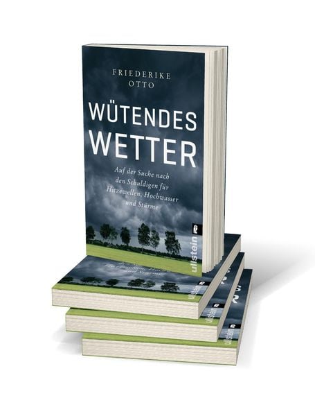 Produktbild: Wütendes Wetter