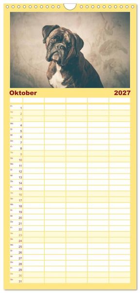 Produktbild: Familienplaner 2027 - Deutscher Boxer mit 5 Spalten (Wandkalender, 21 x 45 cm) CALVENDO