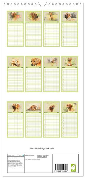Produktbild: Familienplaner 2026 - Rhodesian Ridgeback 2026 mit 5 Spalten (Wandkalender, 21 x 45 cm) CALVENDO