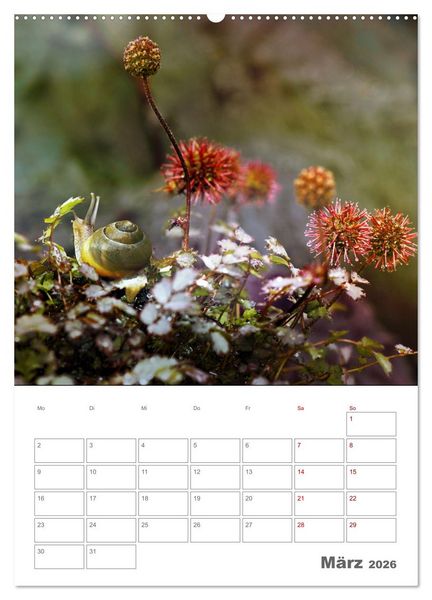 Produktbild: Helden in der Natur (Wandkalender 2026 DIN A2 hoch), CALVENDO Monatskalender
