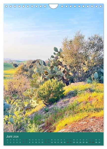 Produktbild: Magisches Cagliari und Campidano (Wandkalender 2026 DIN A4 hoch), CALVENDO Monatskalender