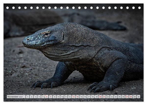 Produktbild: Drachen: Geheimnisvolles Tierreich (Tischkalender 2027 DIN A5 quer), CALVENDO Monatskalender