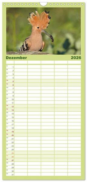 Produktbild: Familienplaner 2026 - Wiedehopf mit 5 Spalten (Wandkalender, 21 x 45 cm) CALVENDO