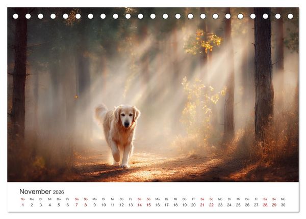 Produktbild: Herz aus Gold - Retriever zum Verlieben (Tischkalender 2026 DIN A5 quer), CALVENDO Monatskalender