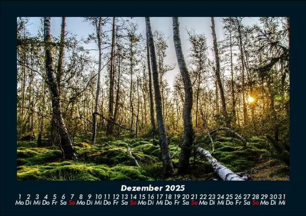 Produktbild: B&auml;ume 2025 Fotokalender DIN A5