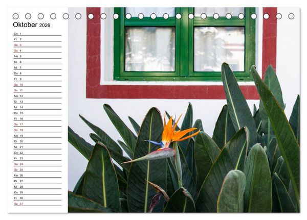 Produktbild: Strelitzien - die Paradiesv&ouml;gel unter den Blumen (Tischkalender 2026 DIN A5 quer), CALVENDO Monatskalender