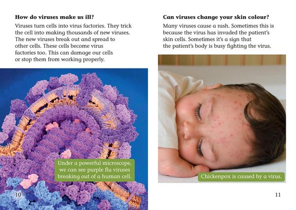 Produktbild: Shinoy and the Chaos Crew: What are viruses?