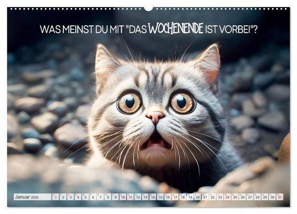Produktbild: KATZEN-IRONIE Lach mal wieder (hochwertiger Premium Wandkalender 2026 DIN A2 quer), Kunstdruck in Hochglanz