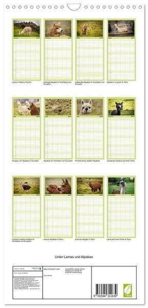 Produktbild: Familienplaner 2027 - Unter Lamas und Alpakas mit 5 Spalten (Wandkalender, 21 x 45 cm) CALVENDO