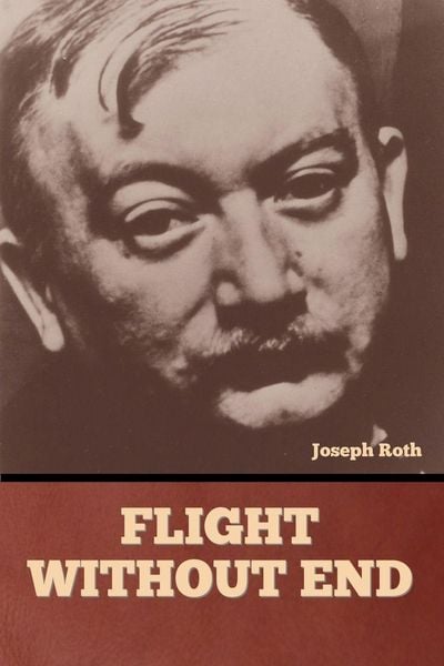 Produktbild: Flight without End