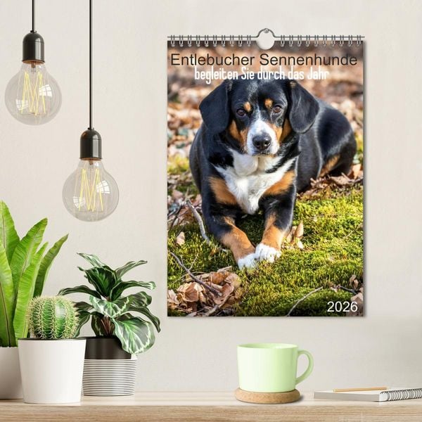 Produktbild: Entlebucher Sennenhunde begleiten Sie durch das Jahr (Wandkalender 2026 DIN A4 hoch), CALVENDO Monatskalender