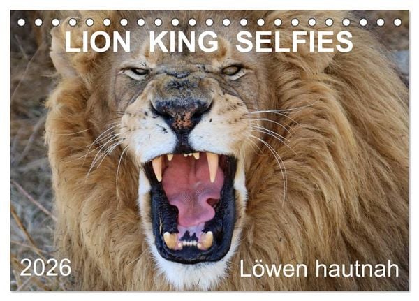 Produktbild: LION KING SELFIES L&ouml;wen hautnah (Tischkalender 2026 DIN A5 quer), CALVENDO Monatskalender