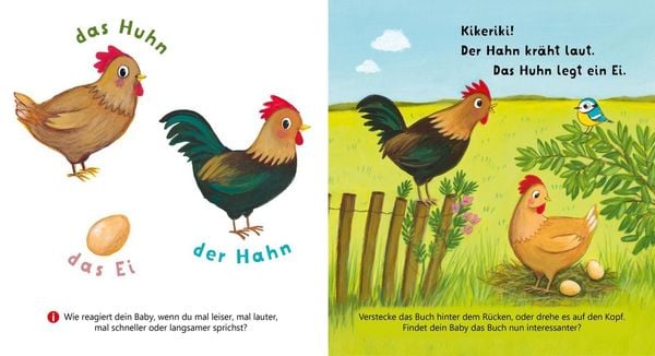 Produktbild: Baby Pixi (unkaputtbar) 179: Mein Baby-Pixi-Buggybuch: Allererste W&ouml;rter: Meine Tiere