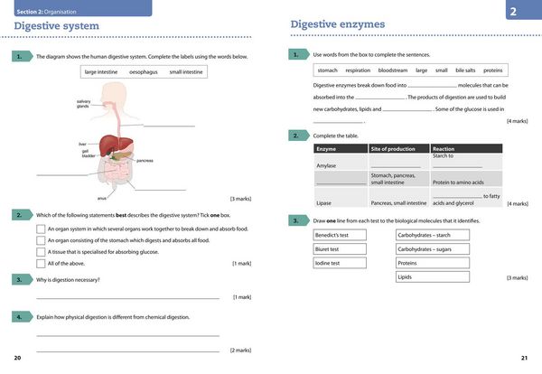 Produktbild: AQA GCSE BIOLOGY G5 BOOWB