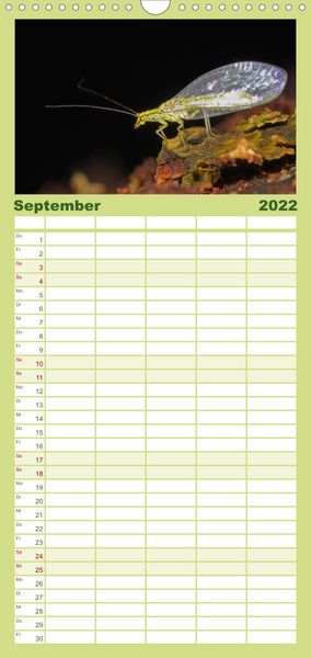Produktbild: Familienplaner Weltnaturerbe Hainich (Wandkalender 2022 , 21 cm x 45 cm, hoch)