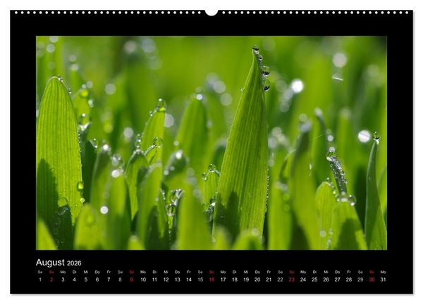 Produktbild: Meine kleine gr&uuml;ne Wassertropfen Welt (hochwertiger Premium Wandkalender 2026 DIN A2 quer), Kunstdruck in Hochglanz